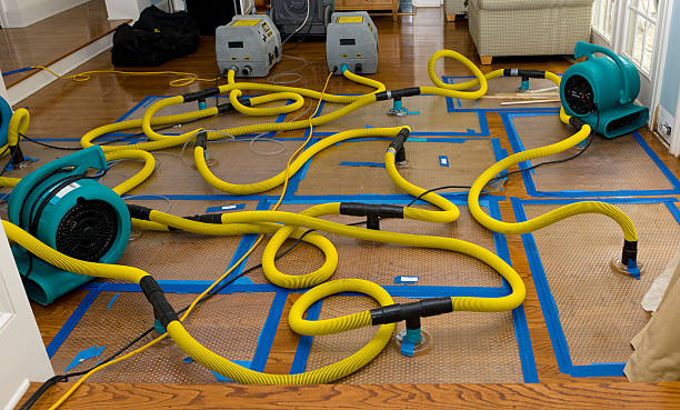 Professional Crawl Space Water Removal technician working in Crest Hill, IL